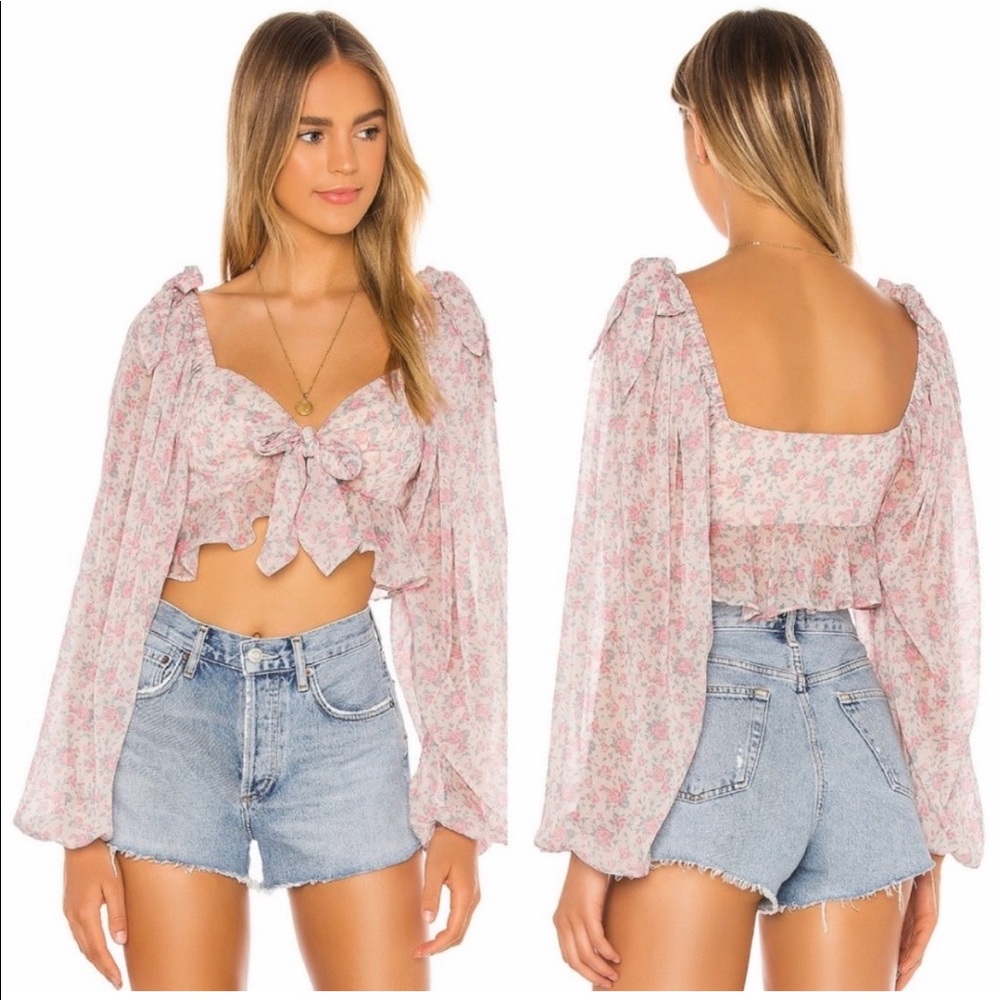 Tularosa chiffon Bristol rose top